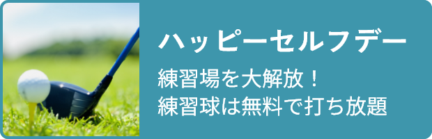 セルフデー